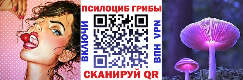 Галлюциногенные грибы прущие грибы  Тобольск 