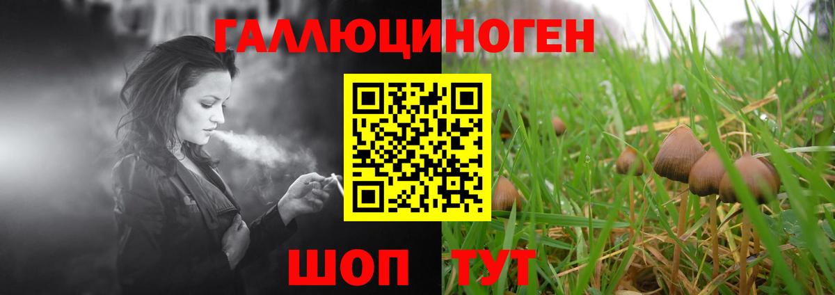 Галлюциногенные грибы Psilocybe Тобольск